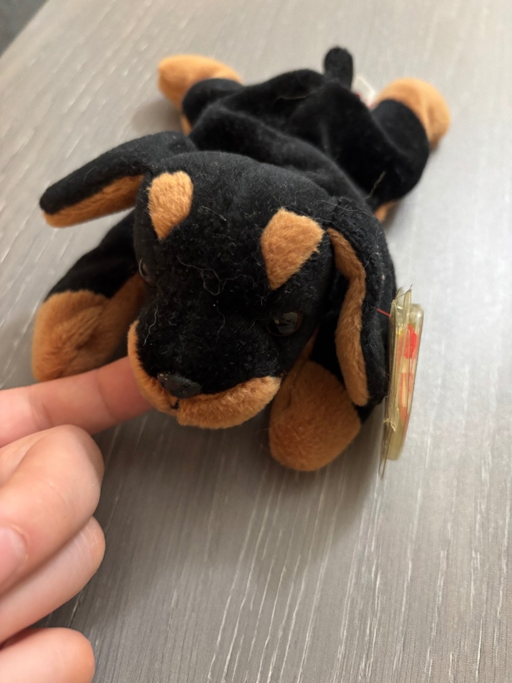 TY beanie baby dog Doby